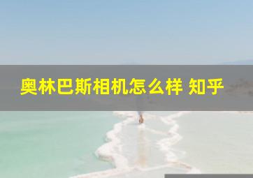 奥林巴斯相机怎么样 知乎